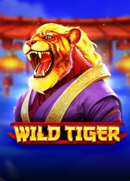 Hra v casinu SpinBetter 12